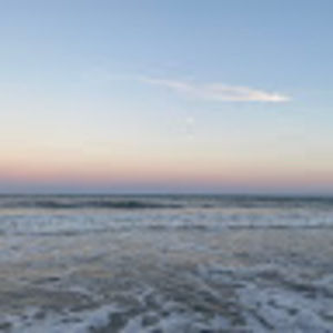 Meet your Posher, Violet